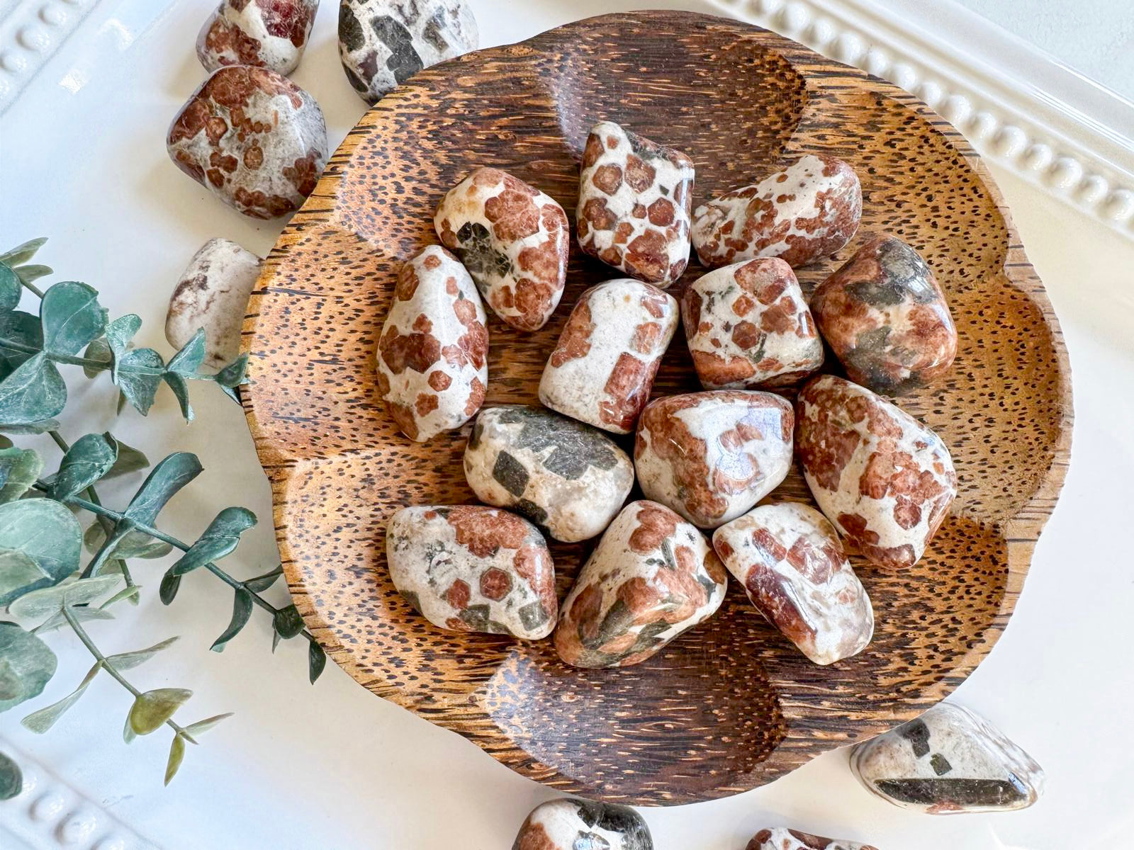 Garnet Wollastonite Tumbled Stone || Large