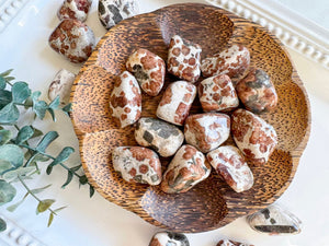 Garnet Wollastonite Tumbled Stone || Large