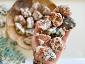 Garnet Wollastonite Tumbled Stone || Large