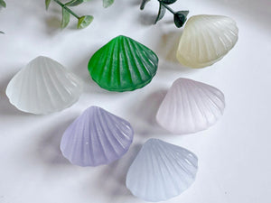 Glass Fiber Cat's Eye Seashell Carving
