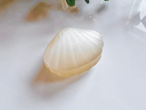 Glass Fiber Cat's Eye Seashell Carving