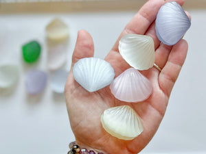 Glass Fiber Cat's Eye Seashell Carving