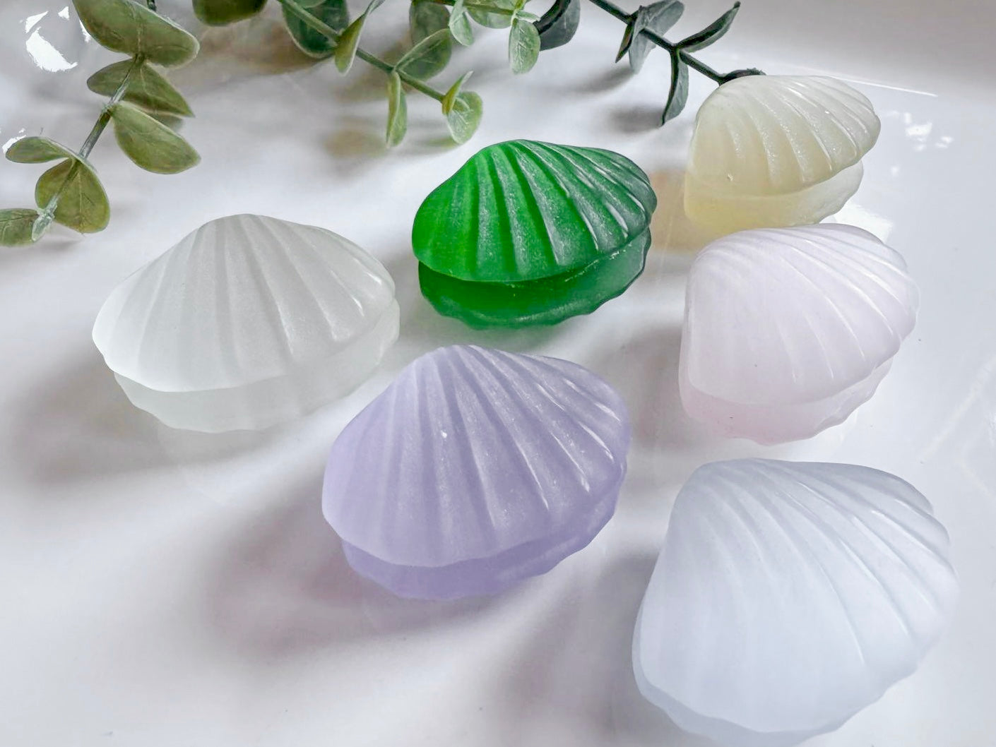 Glass Fiber Cat's Eye Seashell Carving