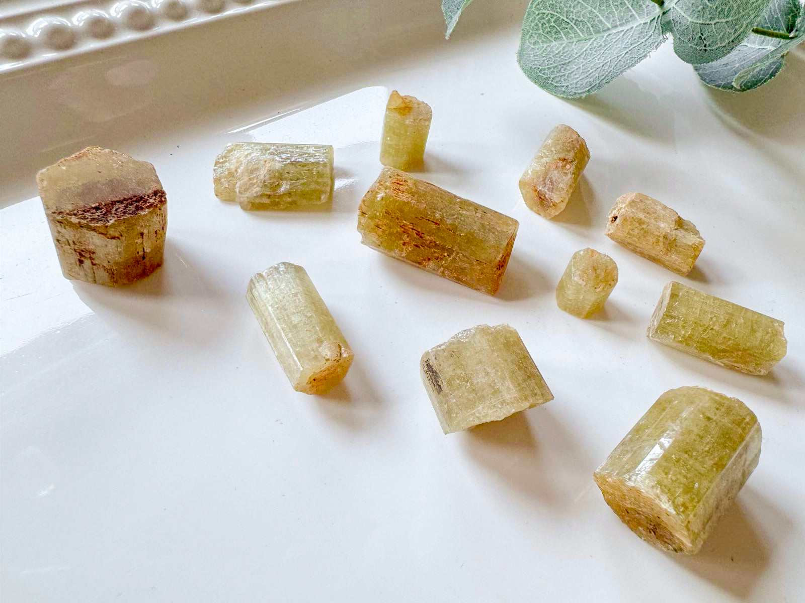 Golden Apatite || Morocco