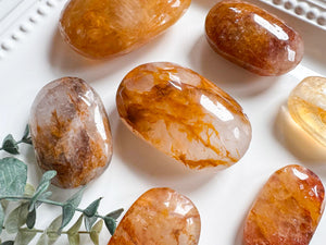 Golden Healer Palm Stone