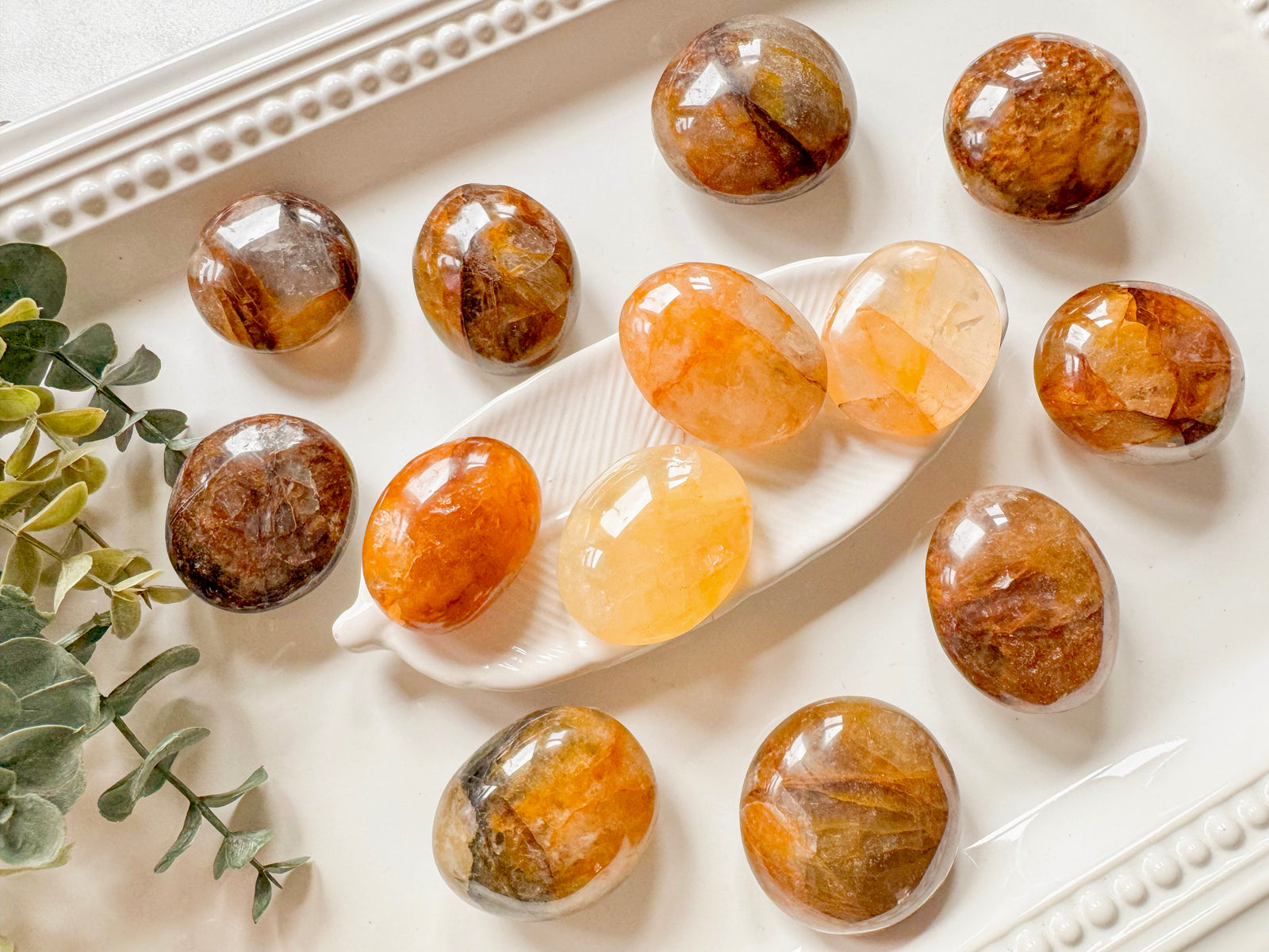 Golden Healer Palm Stone || Madagascar