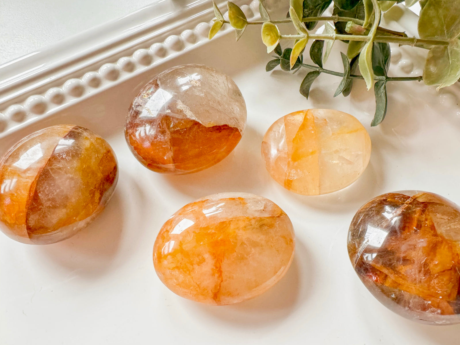 Golden Healer Palm Stone || Madagascar