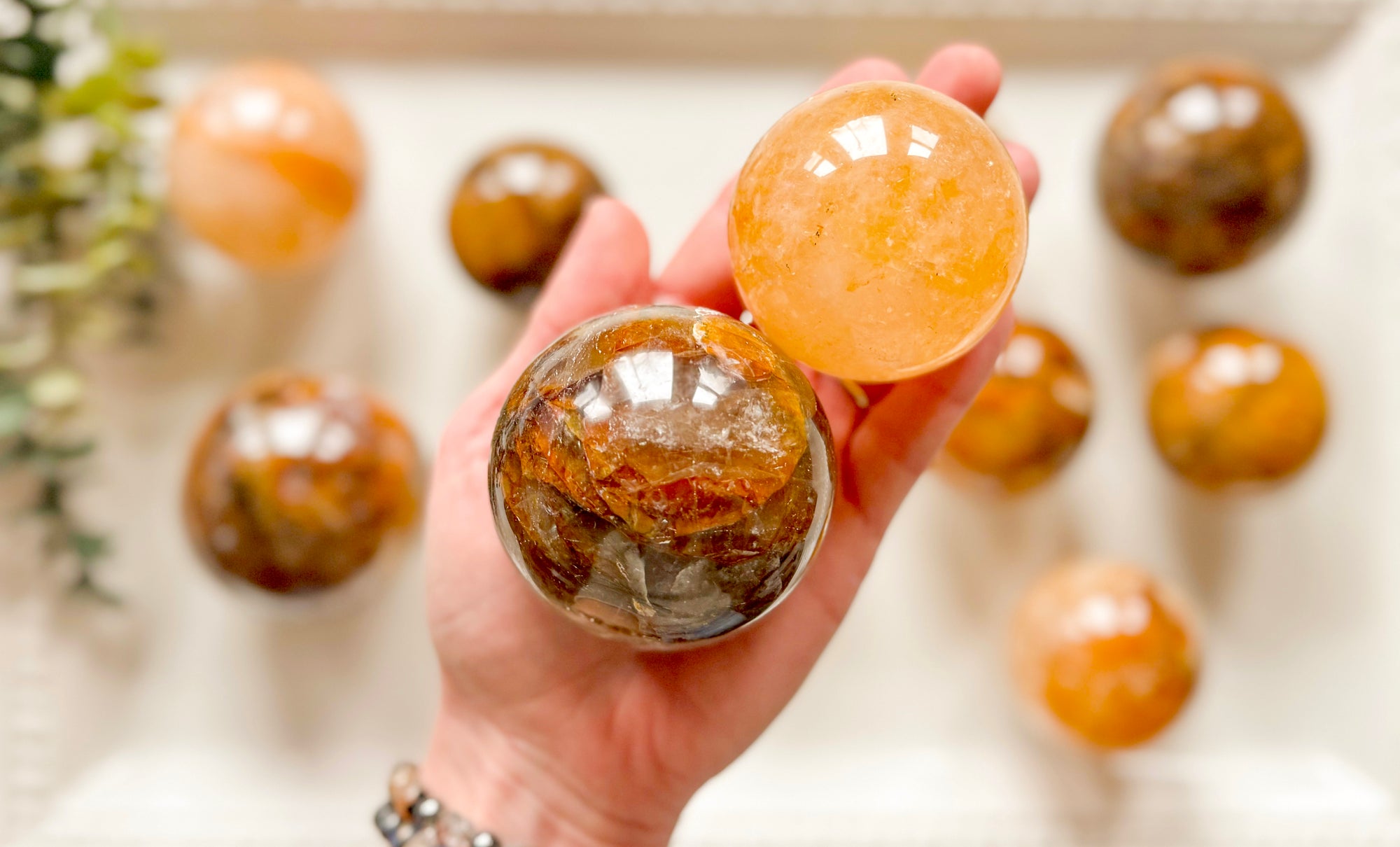 Golden Healer Sphere || Madagascar