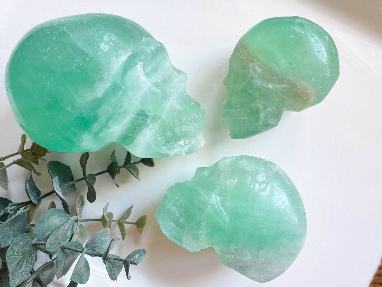 Green Fluorite Skull || Special Buy!