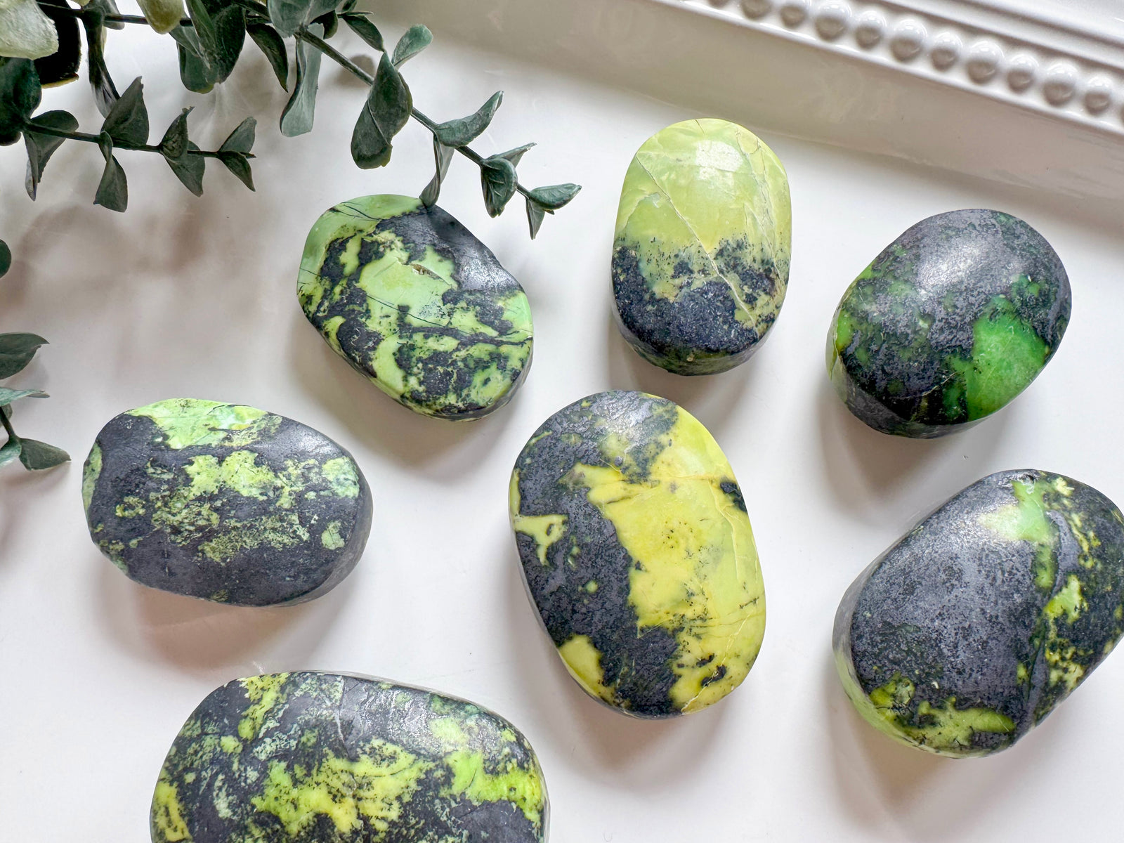 Green Opal Palm Stone || Australia
