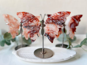 Hematoid (Fire) Quartz Butterfly Wings in Metal Stand