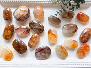 Hematoid Quartz & Golden Healer Palm Stones