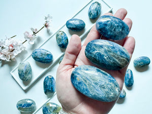 Blue Kyanite Palm Stone || Brazil