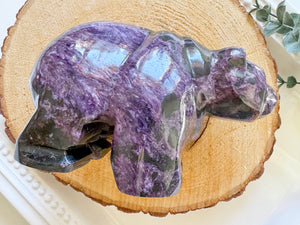 Charoite Bear || Showpiece