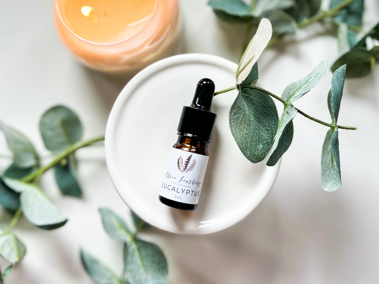 Eucalyptus Single Note 5ml || Three Feathers Apothecary