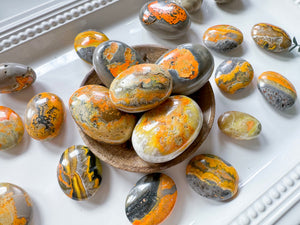 Bumblebee Jasper Palm Stone