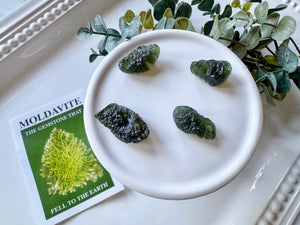 Moldavite with Card
