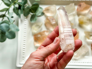 Pink & Golden Lemurian Points || Brazil