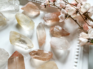 Pink & Golden Lemurian Points || Brazil