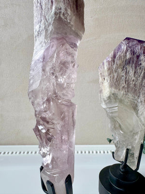 Bahia Amethyst Root Skull with Rotating Stand || Brazil || Pitico