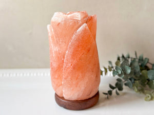 Himalayan Salt Lamp || Assorted Shapes