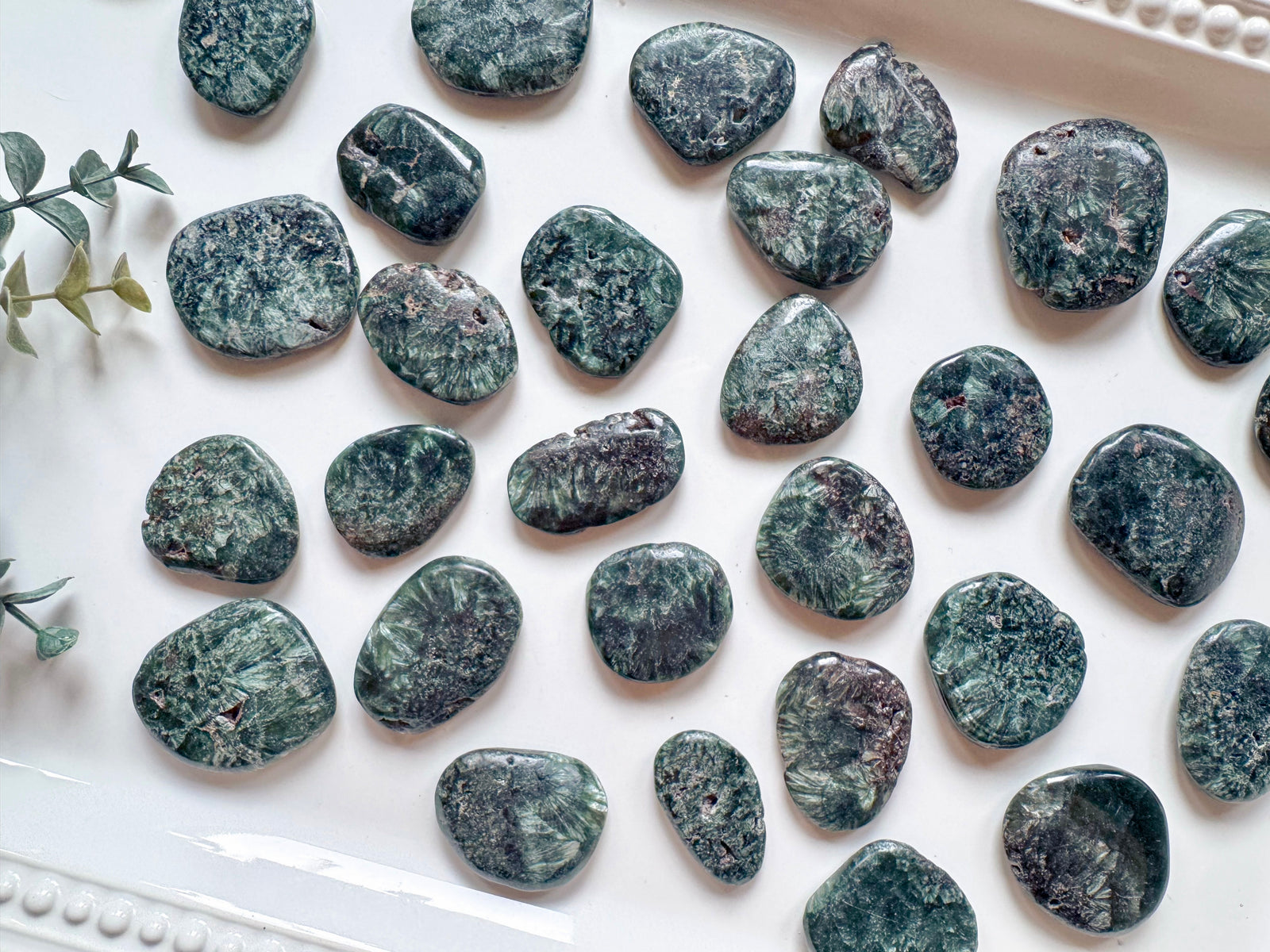 Seraphinite Polished Pieces