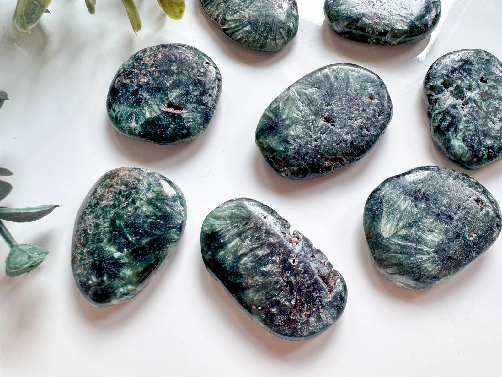 Seraphinite Polished Pieces