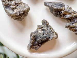 Darwin Glass (Impactite) || Darwin Crater, Tasmania, Australia
