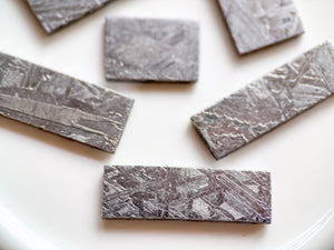 Aletai Iron Meteorite Slice || Xinjiang, China