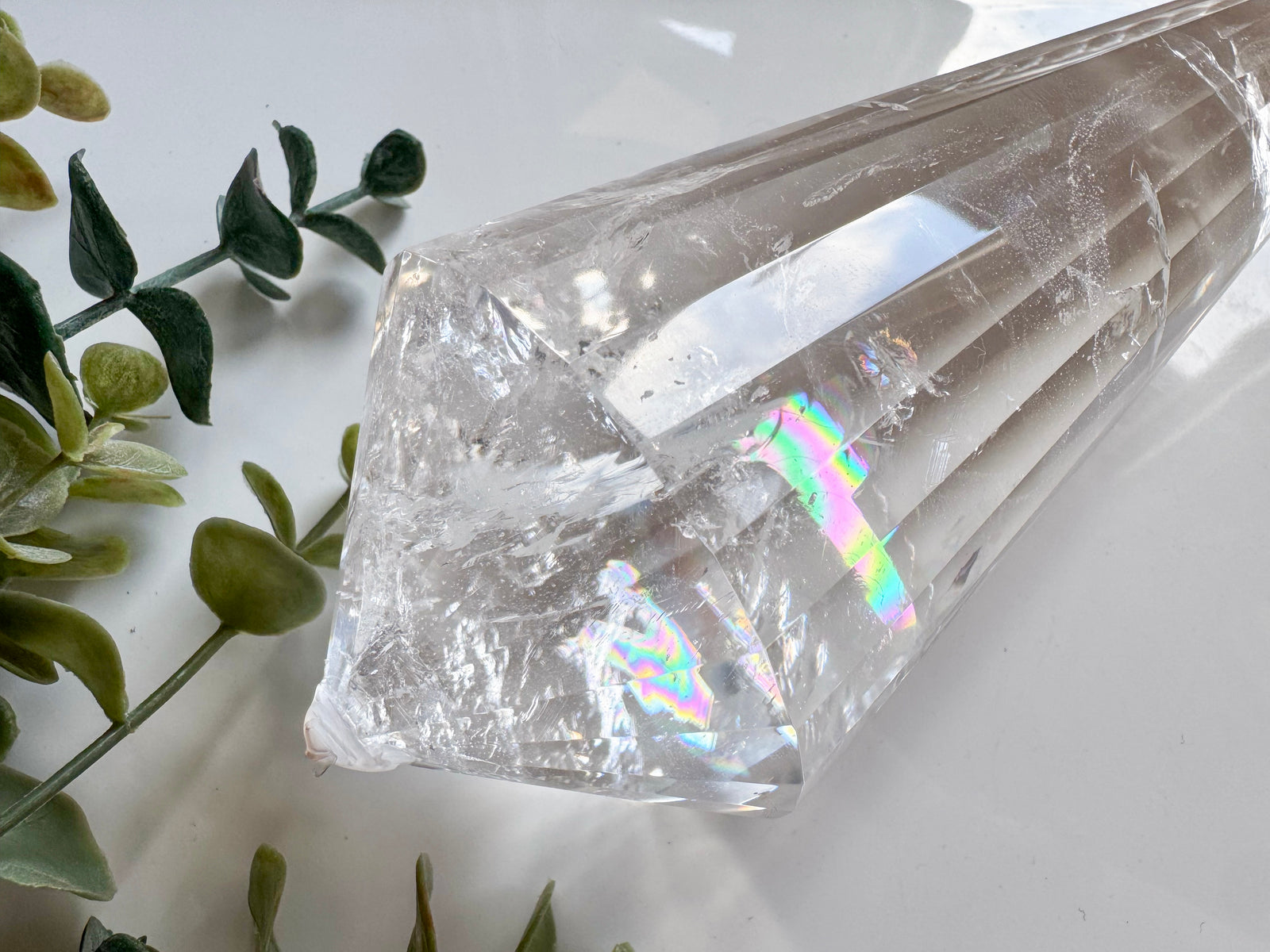 Lemurian Vogel || XXL