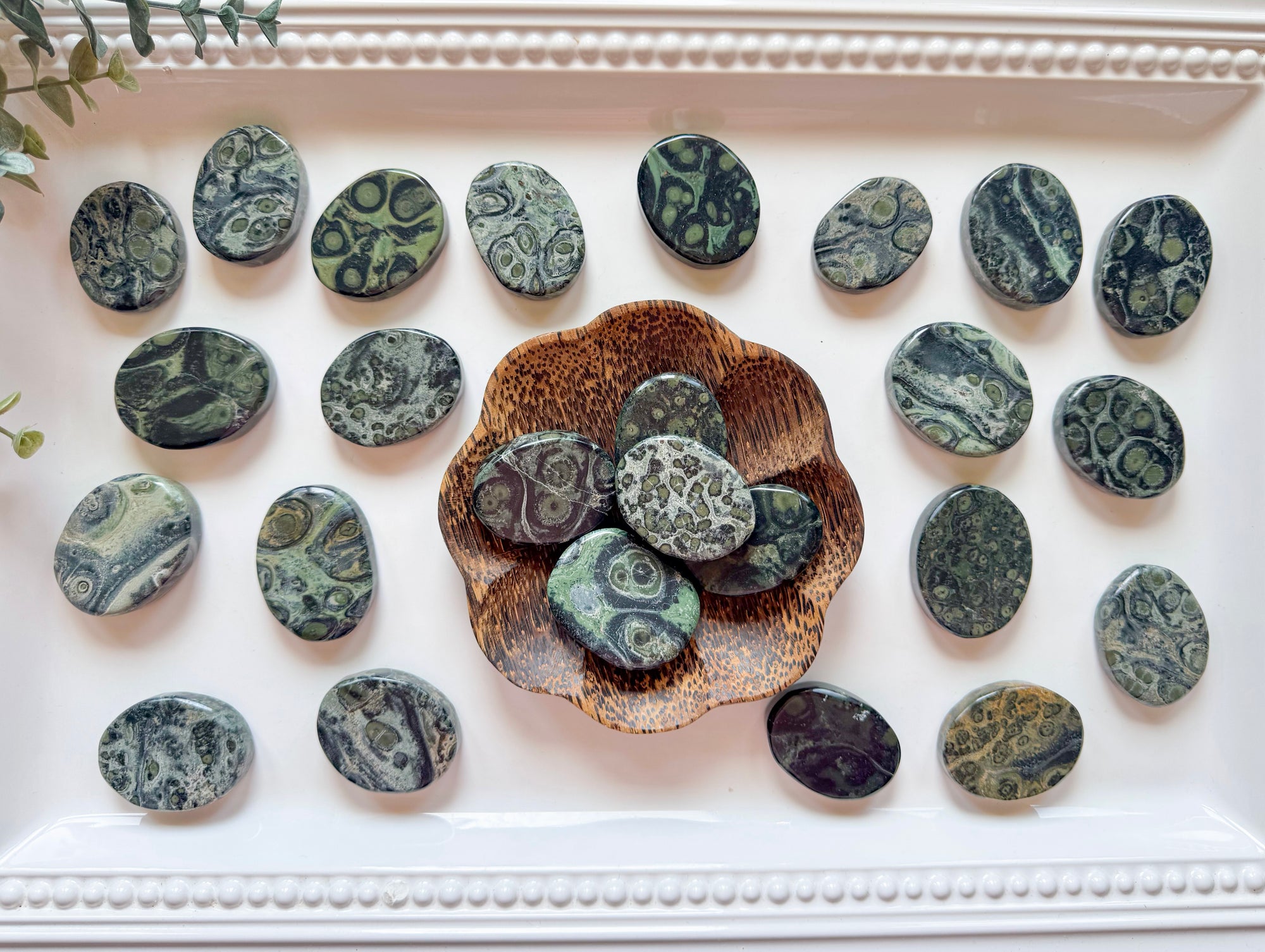 Kambaba Jasper Flat Palm Stone
