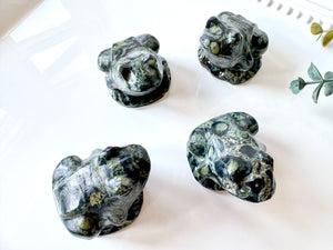 Kambaba Jasper Frog