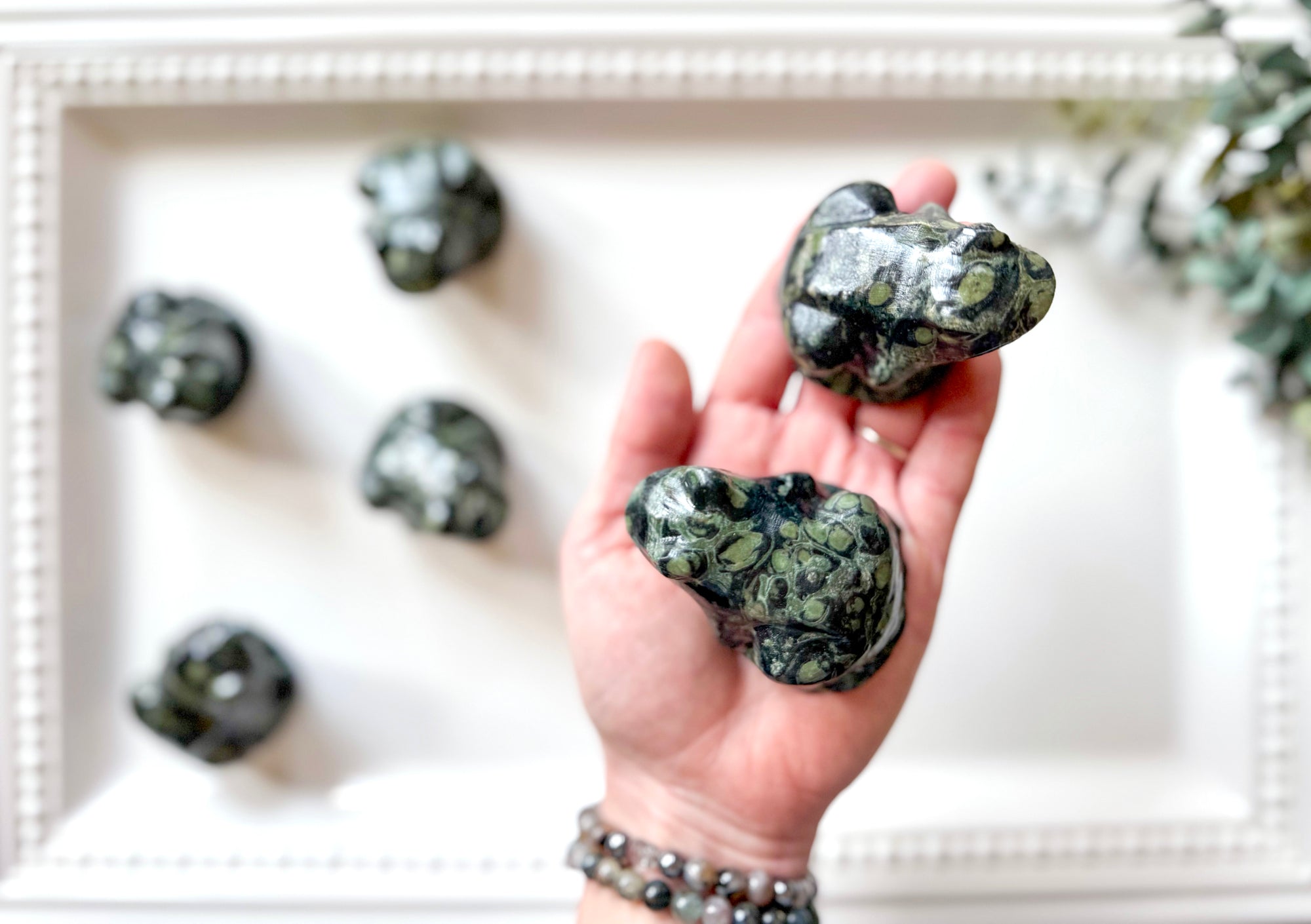 Kambaba Jasper Frog