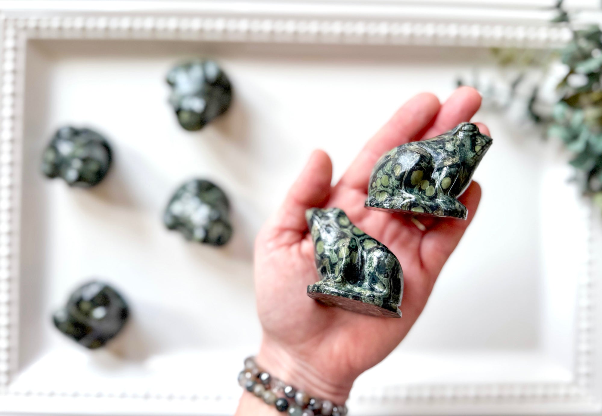 Kambaba Jasper Frog