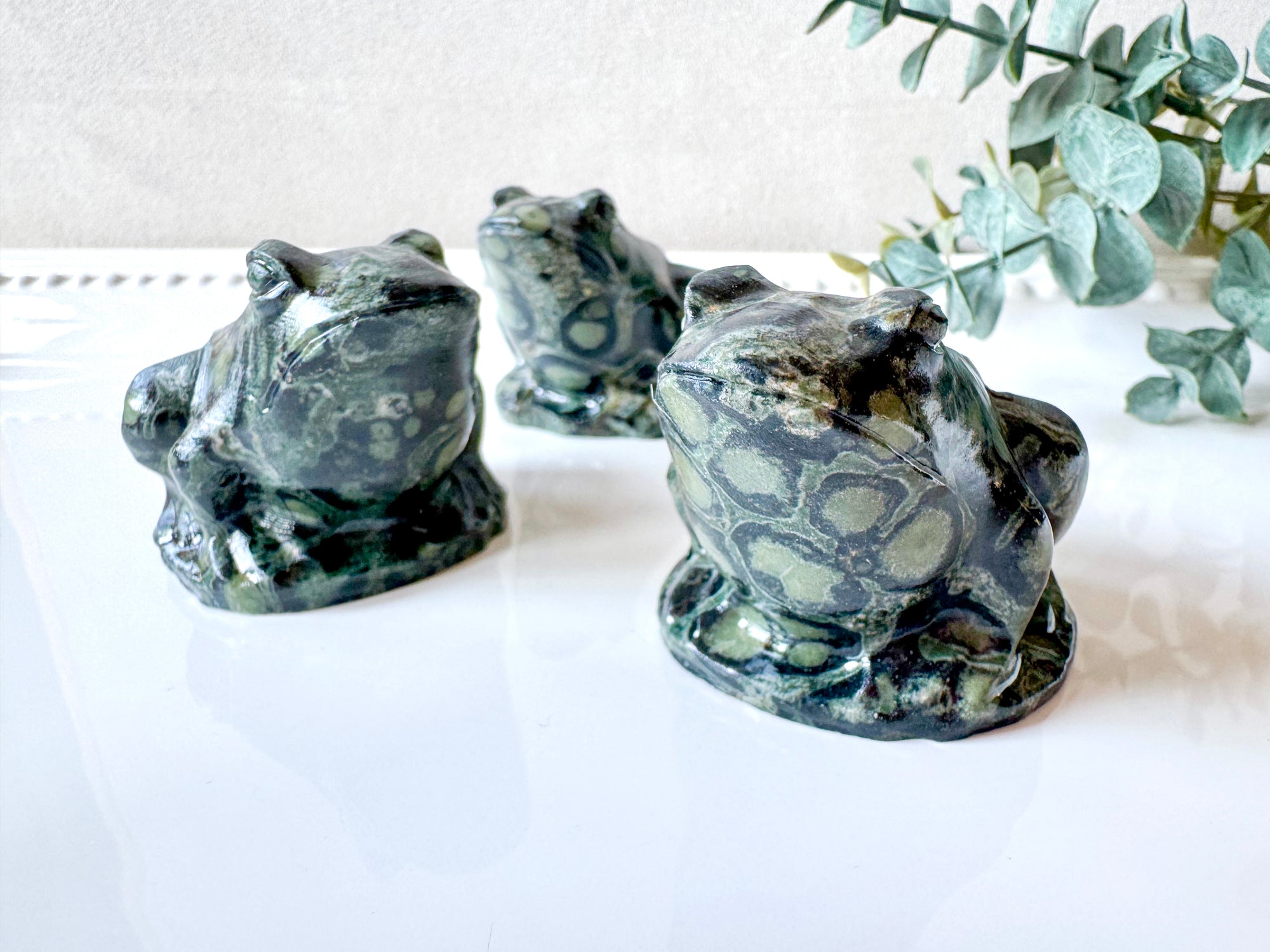 Kambaba Jasper Frog
