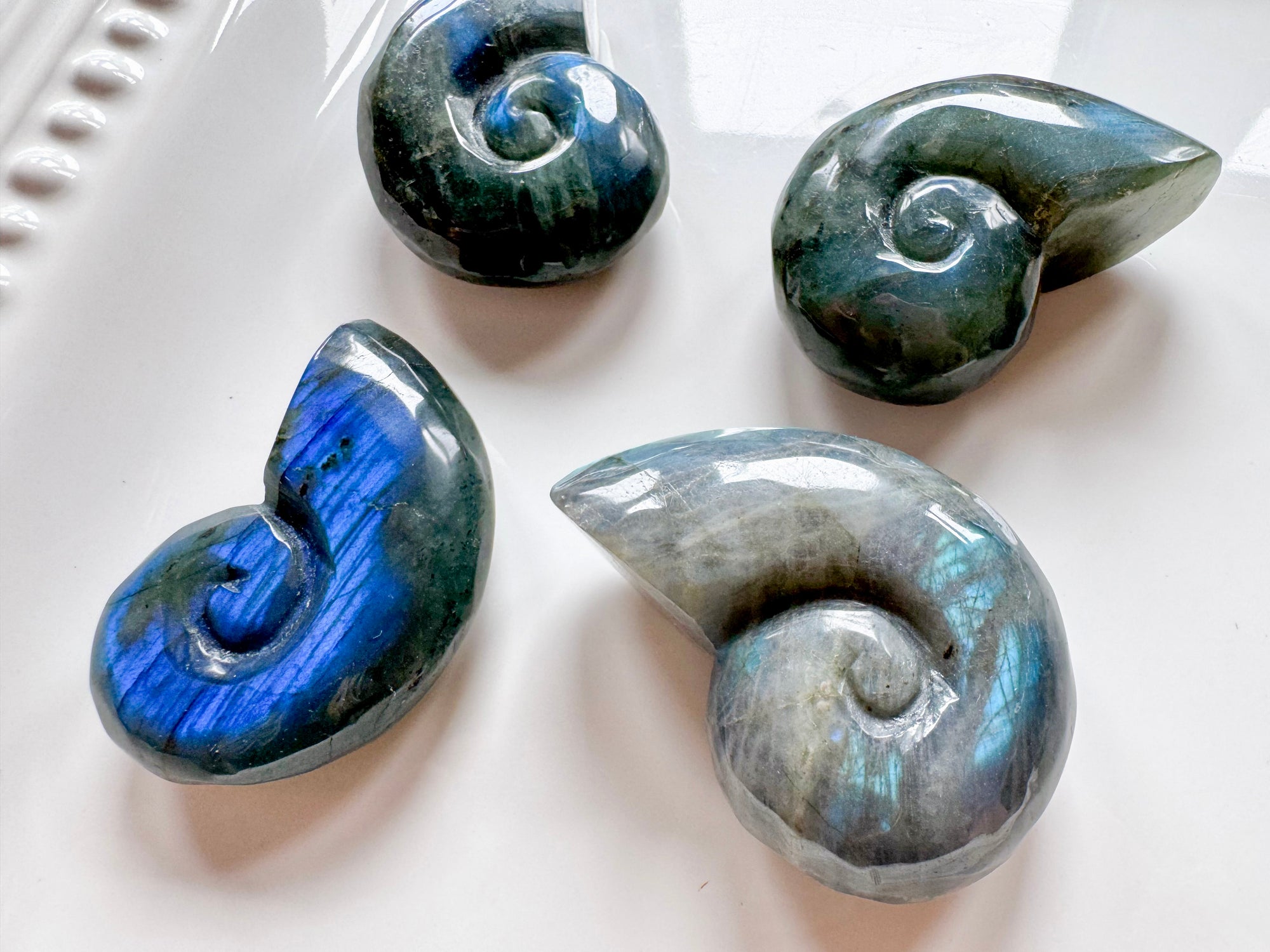 Labradorite Nautilus Shell Carving