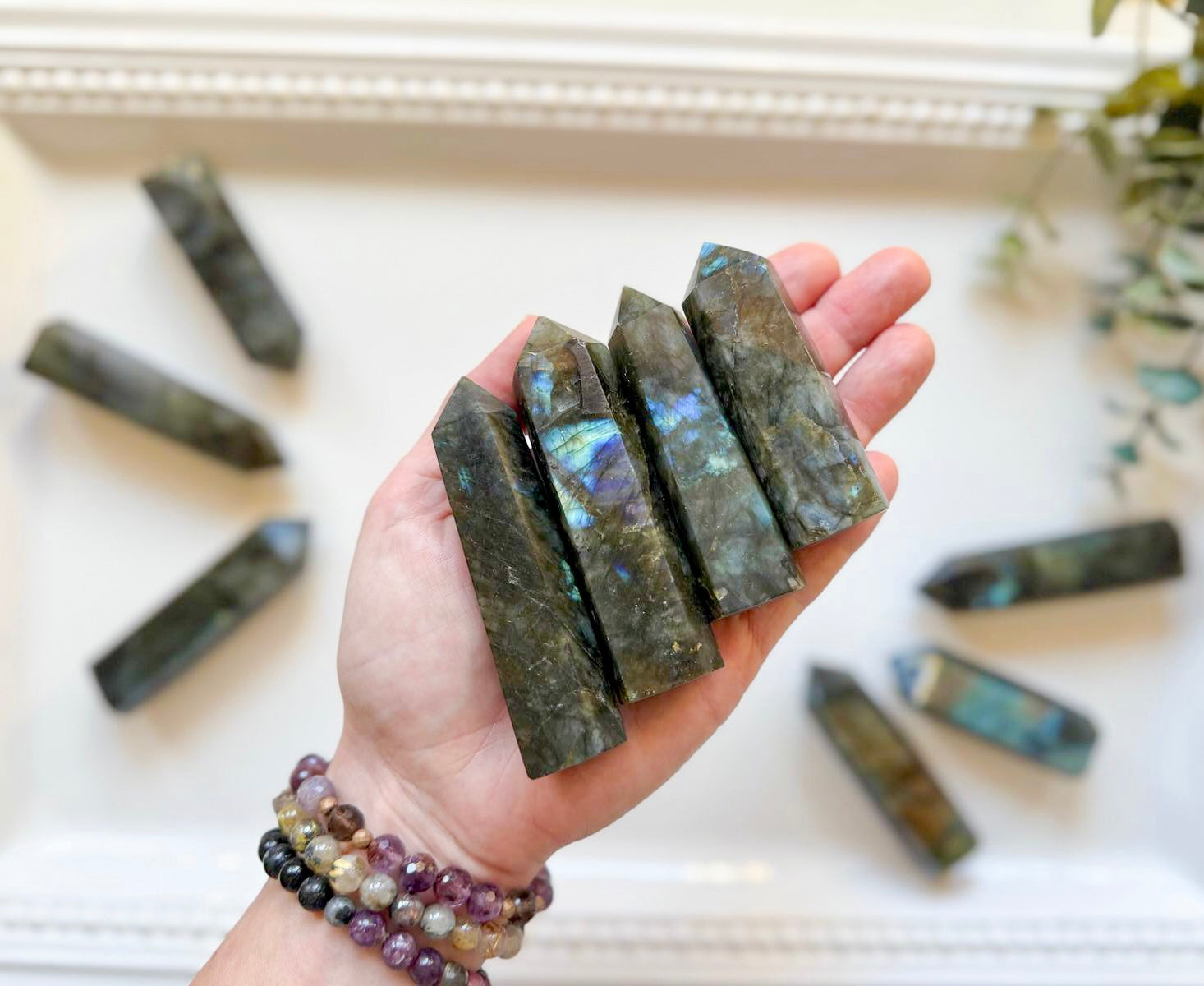 Labradorite Point || 6-Sided || Dark Grey