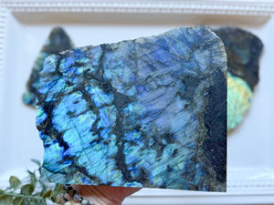 Labradorite || Raw & Polished Slice