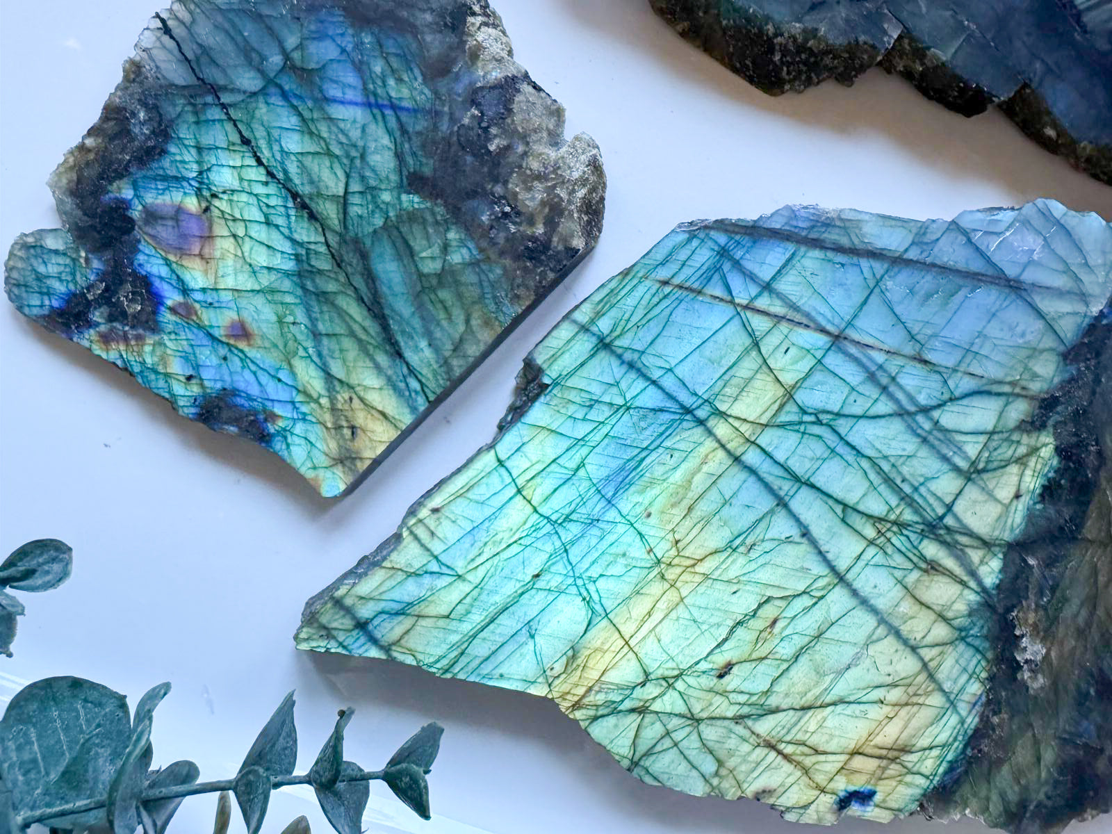 Labradorite || Raw & Polished Slice