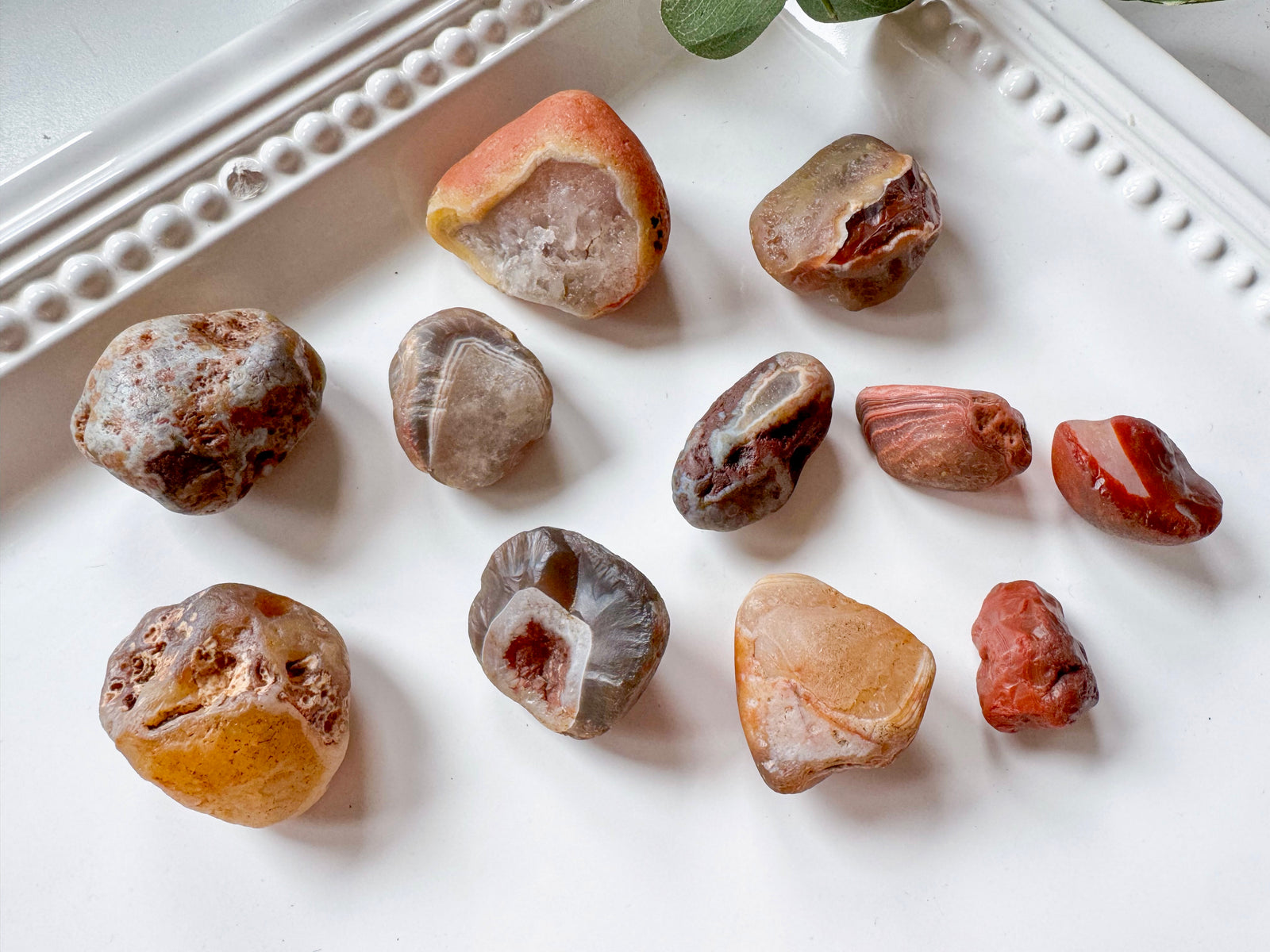 Laker Lake Superior Agate || Vintage "Appleton" Collection