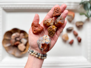 Laker Lake Superior Agate || Vintage "Appleton" Collection