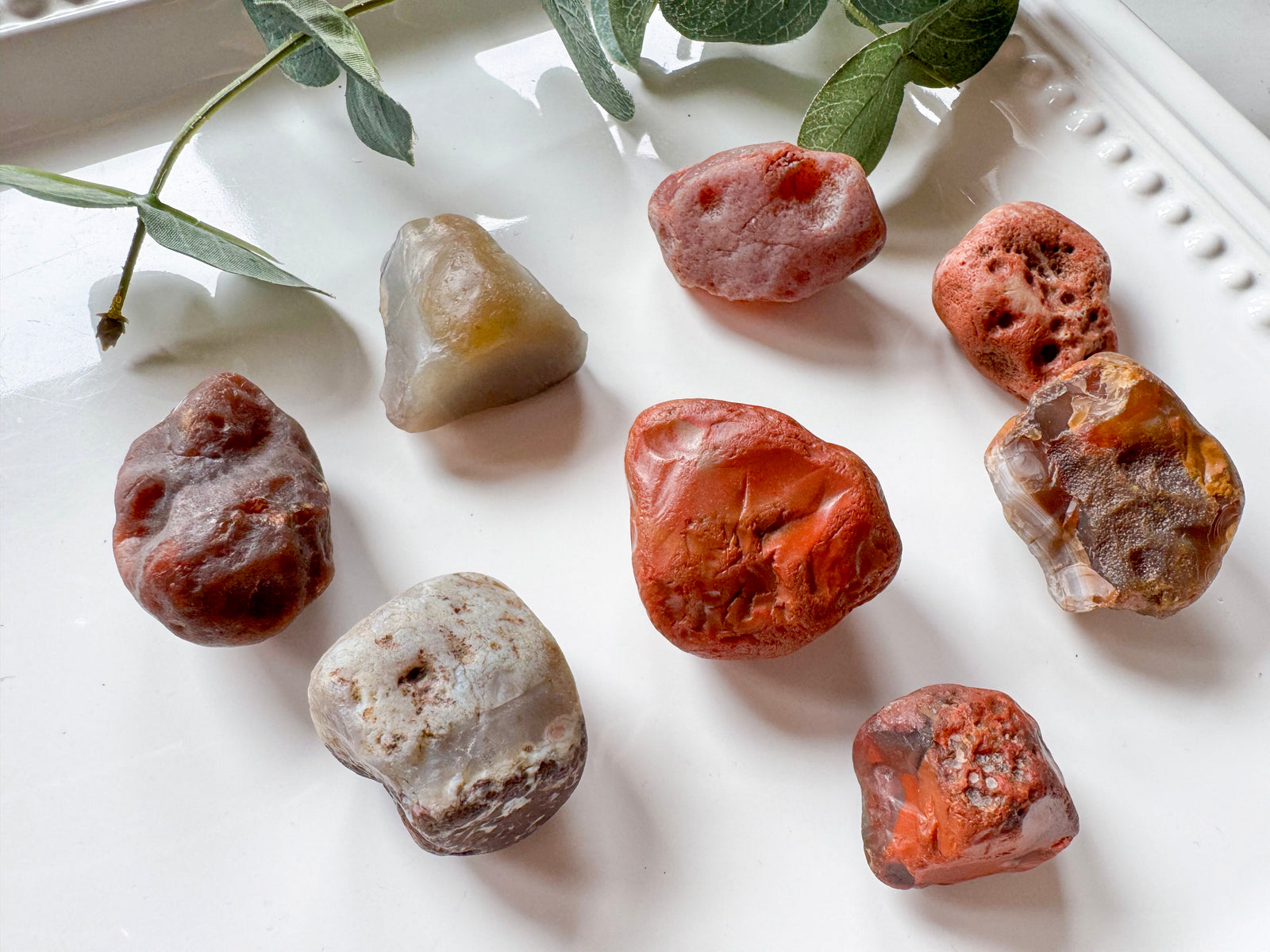 Laker Lake Superior Agate || Vintage "Appleton" Collection