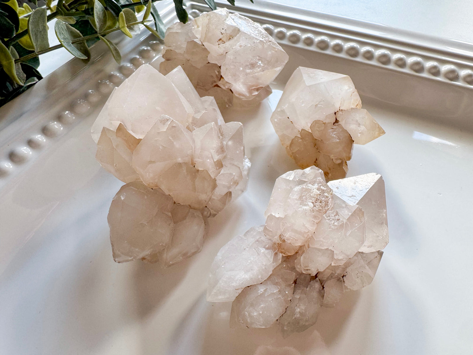 Lotus Skeletal Quartz Raw Cluster