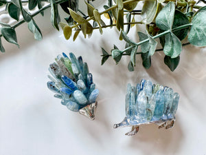 Metal Hedgehog Crystal Points