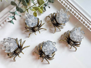Metal Spider with Clear Quartz Mini Points