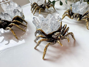 Metal Spider with Clear Quartz Mini Points