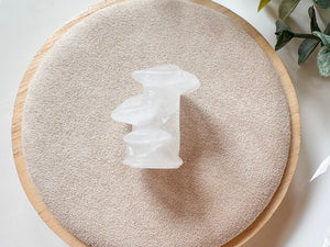 Mini Mushroom Family Crystal Carving