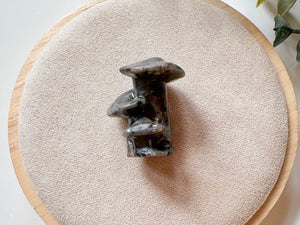 Mini Mushroom Family Crystal Carving