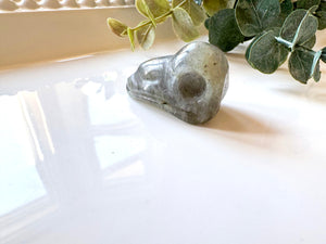 Mini Raven Skull Crystal Carving || 1.25"