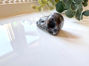 Mini Raven Skull Crystal Carving || 1.25"